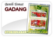 benih tomat gadang